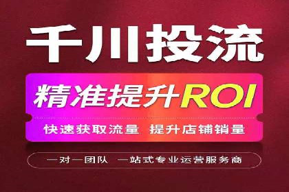 网络营销新篇章：竞价推广案例分析